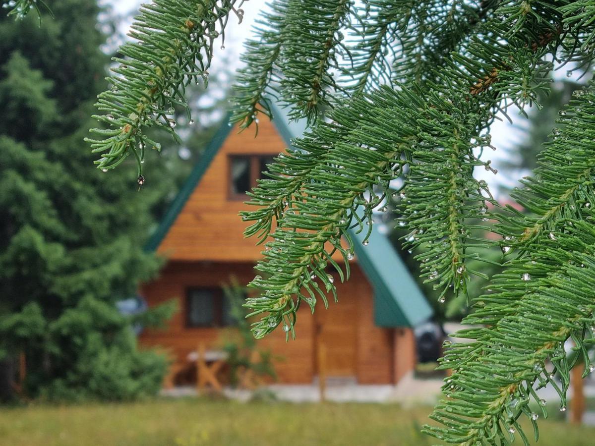 Hedonist Village Zabljak  Exterior photo